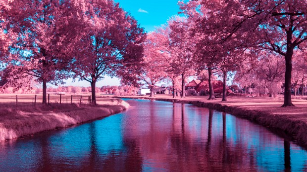 Infrarood Fotografie